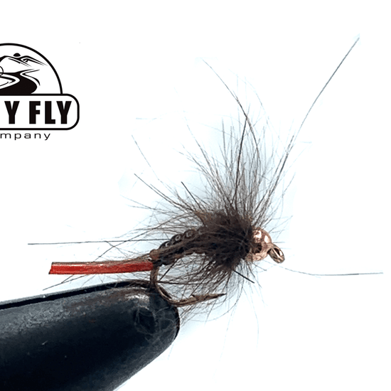 Jelly Caddis - Beadhead - Hazy Fly Fishing