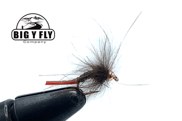 Jelly Caddis - Beadhead - Hazy Fly Fishing