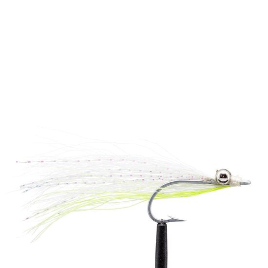 JHFLYCO Loaded Foam Fly Box - Bonefish Assortment - Hazy Fly Fishing