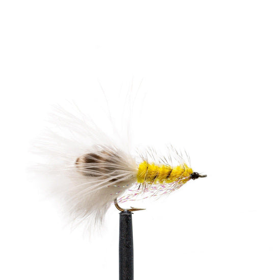 JHFLYCO Loaded Foam Fly Box - Bonefish Assortment - Hazy Fly Fishing