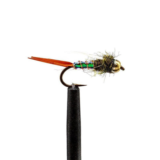 JHFLYCO Loaded Foam Fly Box – Hopper Dropper Assortment – Includes 50m 4X Fluoroflex Tippet - Hazy Fly Fishing