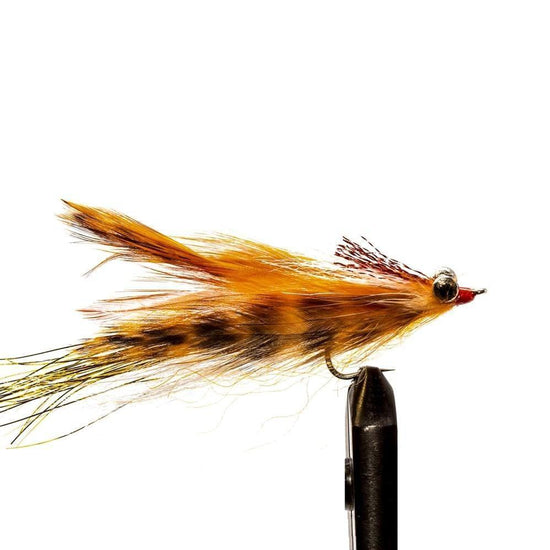 JHFLYCO Loaded Foam Fly Box - Redfish Assortment - Hazy Fly Fishing