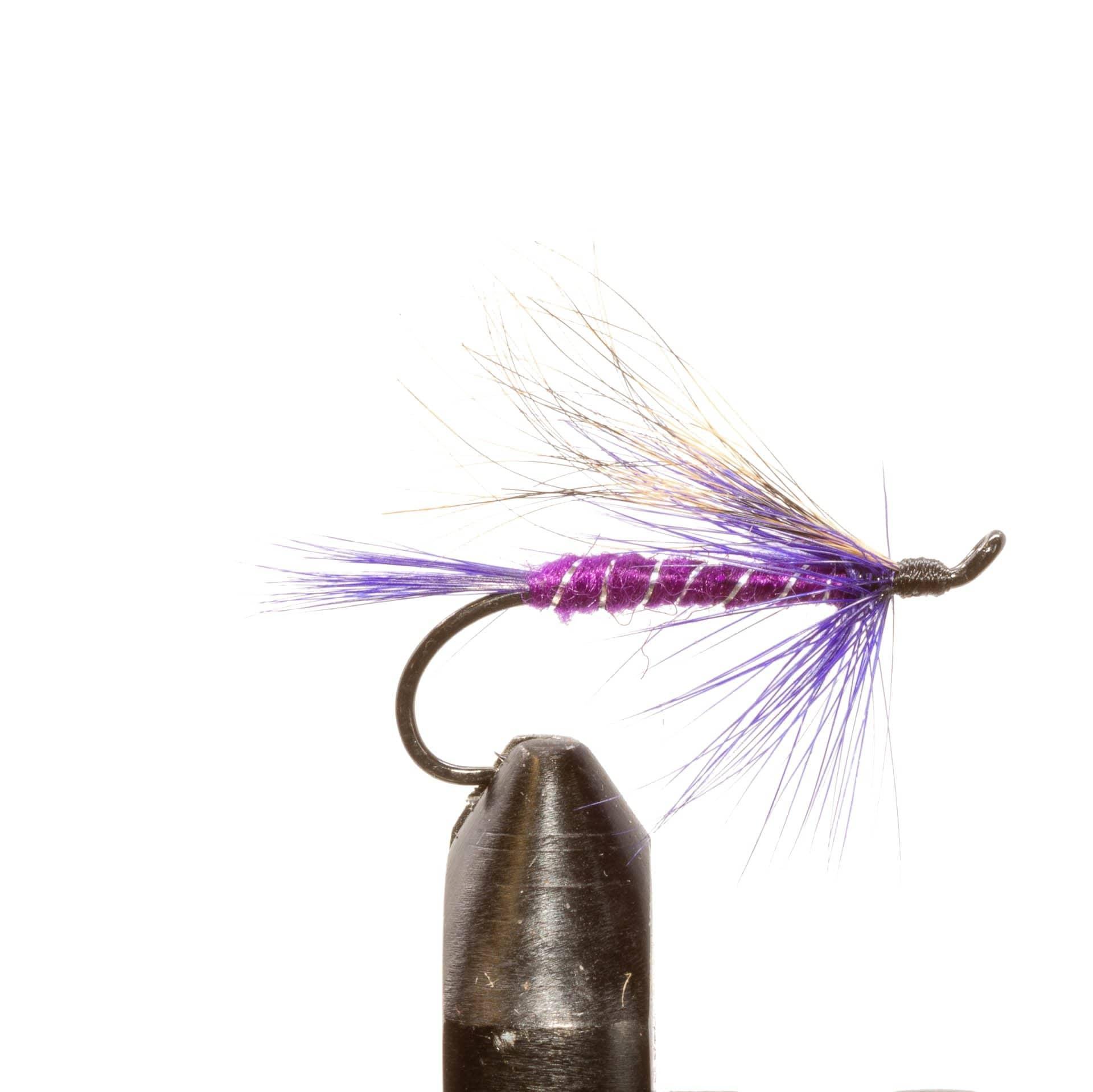 JHFLYCO Loaded Foam Fly Box - Salmon Fly Assortment - Hazy Fly Fishing