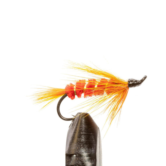 JHFLYCO Loaded Foam Fly Box - Salmon Fly Assortment - Hazy Fly Fishing