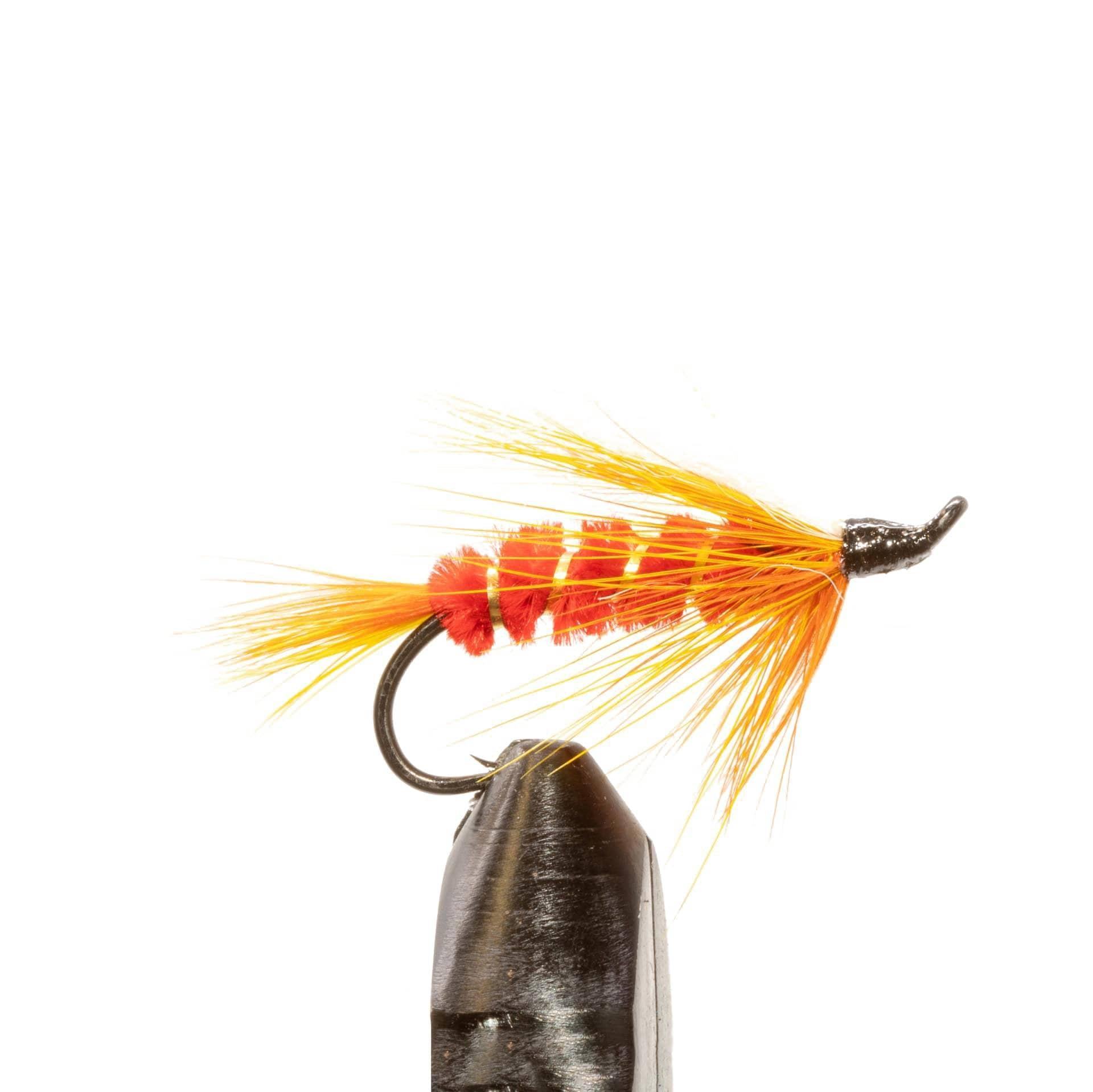 JHFLYCO Loaded Foam Fly Box - Salmon Fly Assortment - Hazy Fly Fishing