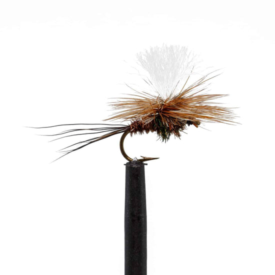 JHFLYCO Loaded Foam Fly Box - Snake River Guides' Choice - Hazy Fly Fishing