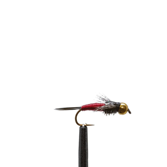 JHFLYCO Loaded Foam Fly Box - Snake River Guides' Choice - Hazy Fly Fishing