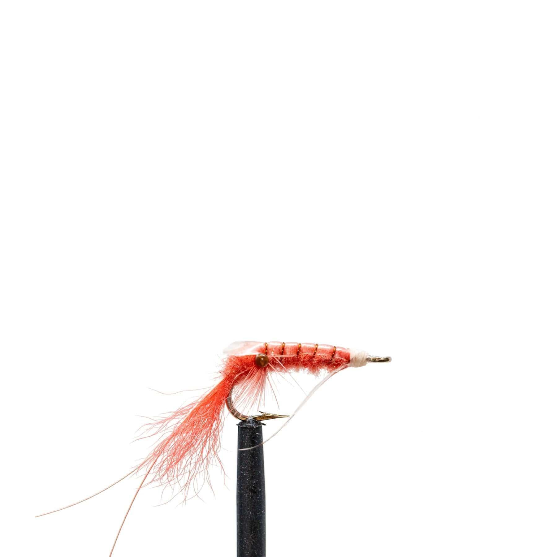 JHFLYCO Loaded Foam Fly Box - Snook Assortment - Hazy Fly Fishing