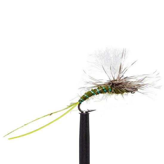 JHFLYCO Loaded Foam Fly Box - Standard Dry Fly Assortment - Hazy Fly Fishing