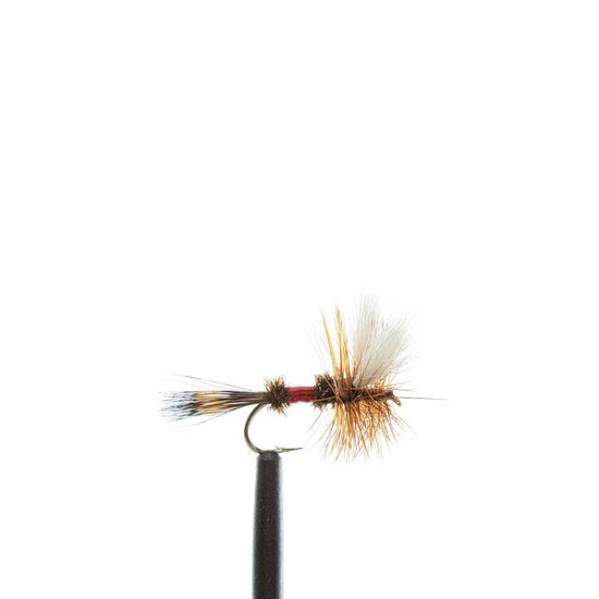 JHFLYCO Loaded Foam Fly Box - Standard Dry Fly Assortment - Hazy Fly Fishing