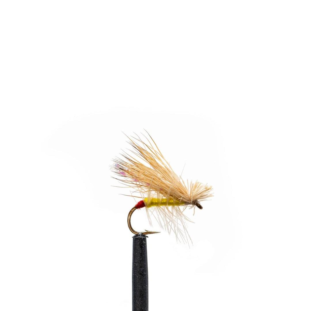 JHFLYCO Loaded Foam Fly Box - Standard Dry Fly Assortment - Hazy Fly Fishing