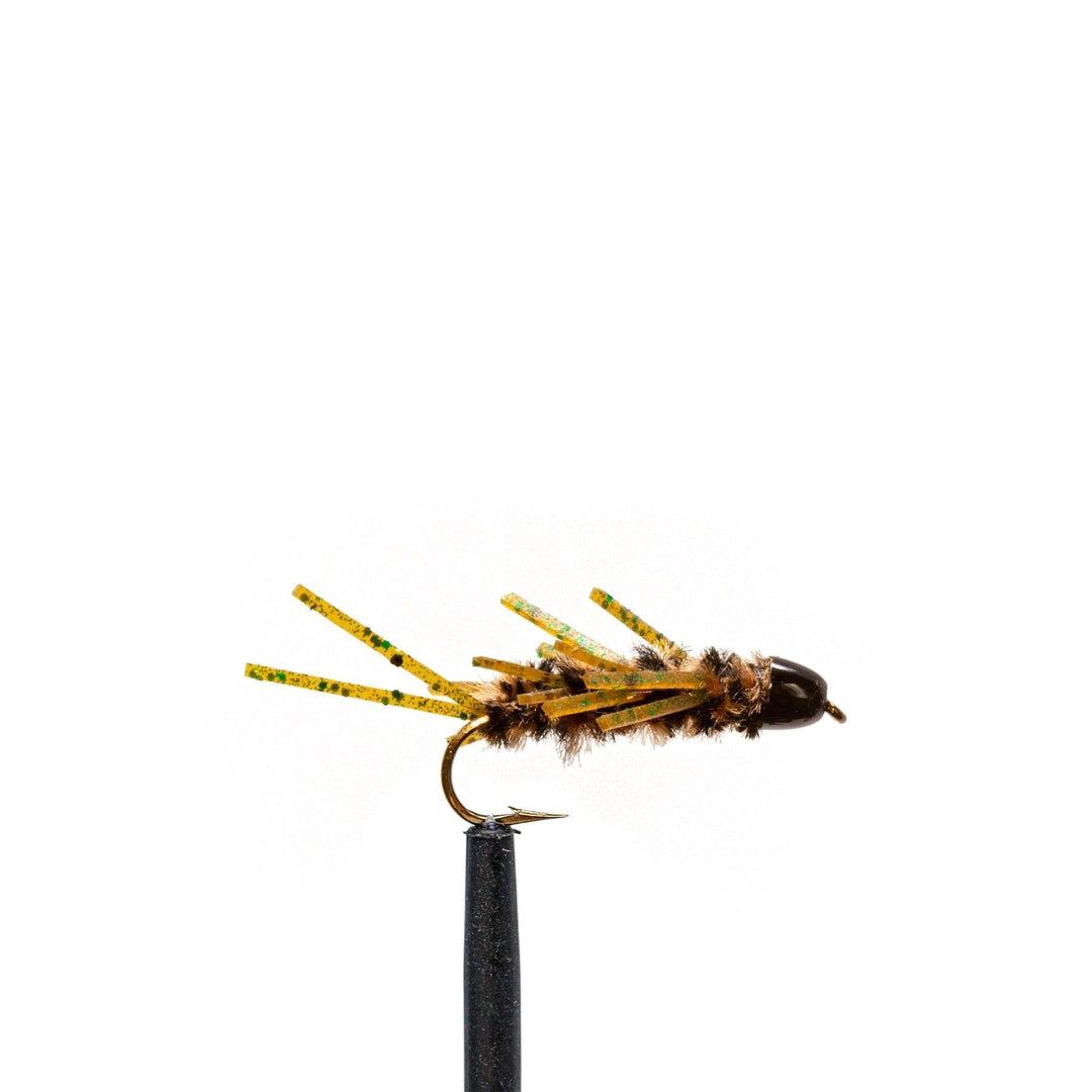 JHFLYCO Loaded Foam Fly Box – Standard Nymph Assortment - Hazy Fly Fishing