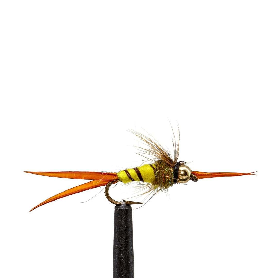 JHFLYCO Loaded Foam Fly Box – Standard Nymph Assortment - Hazy Fly Fishing