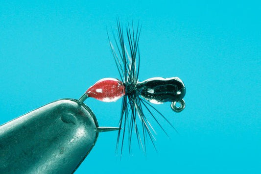 Jigged Ant - Tungsten (Barbless) - Hazy Fly Fishing