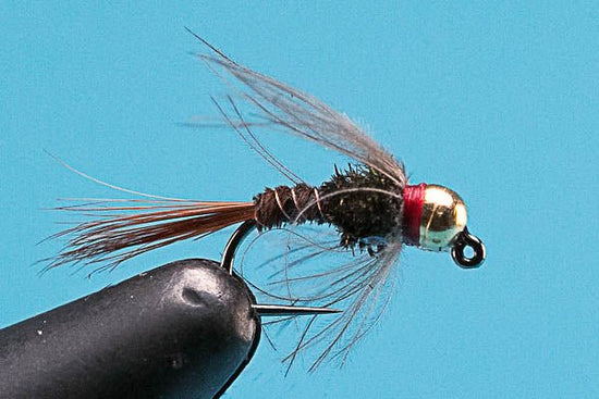 Jiggy CDC Flashback Pheasant Tail - Tungsten (Barbless) - Hazy Fly Fishing