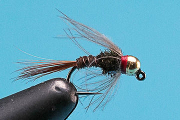 Jiggy CDC Flashback Pheasant Tail - Tungsten (Barbless) - Hazy Fly Fishing