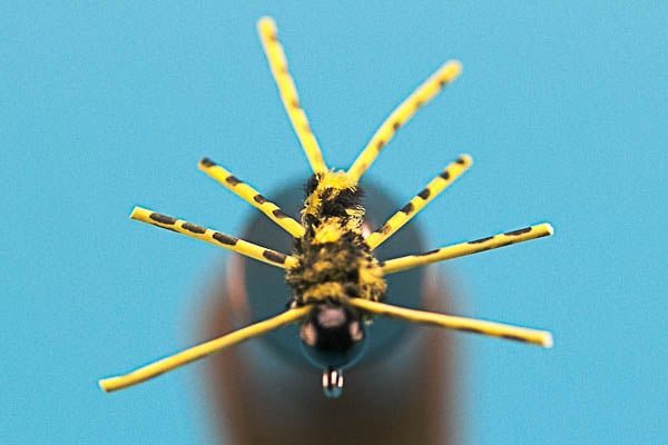 Jiggy Legs Short - Tungsten (Barbless) - Hazy Fly Fishing