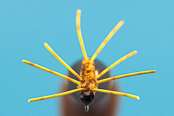 Jiggy Legs Short - Tungsten (Barbless) - Hazy Fly Fishing
