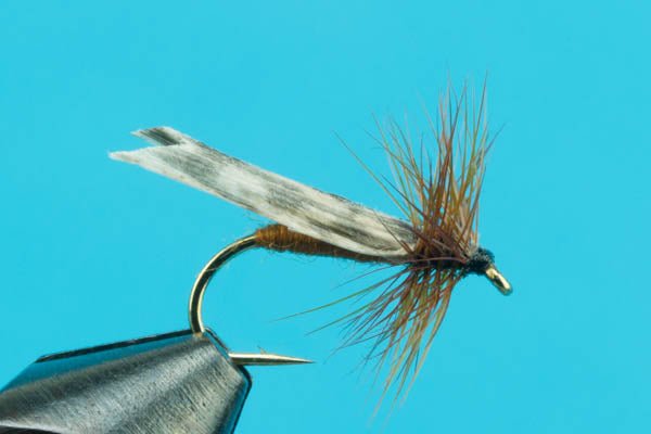 King River Caddis - Hazy Fly Fishing