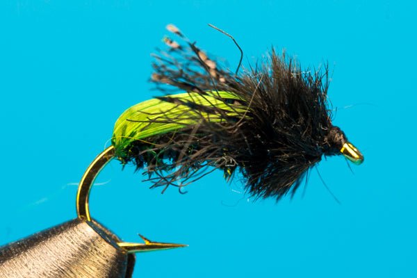 Kiwi Beetle - Hazy Fly Fishing