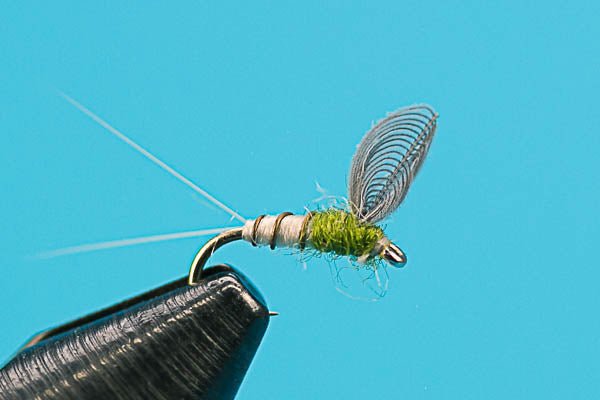 Knock Down Dun BWO - Hazy Fly Fishing