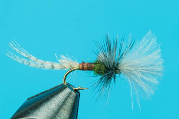 Last Chance Cripple - Hazy Fly Fishing