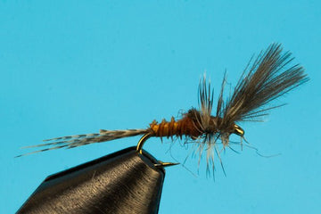 Last Chance Cripple Callibaetis - Hazy Fly Fishing