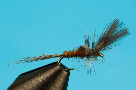 Last Chance Cripple Callibaetis - Hazy Fly Fishing