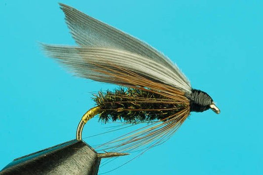Leadwing Coachman - Hazy Fly Fishing