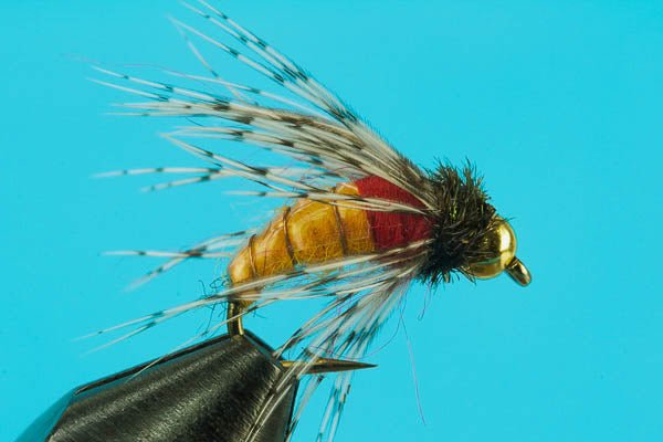 LeBug - Beadhead - Hazy Fly Fishing