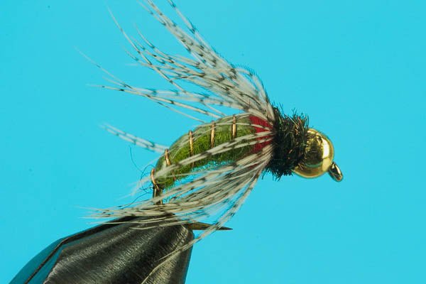 LeBug - Beadhead - Hazy Fly Fishing