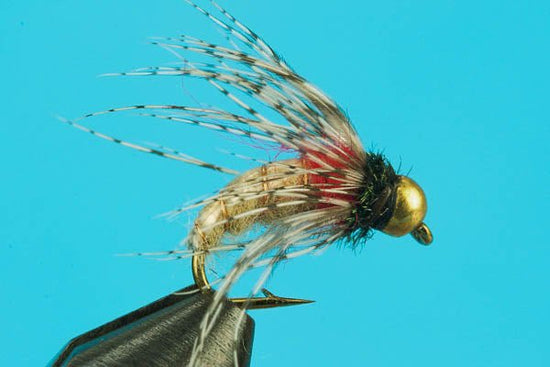 LeBug - Beadhead - Hazy Fly Fishing