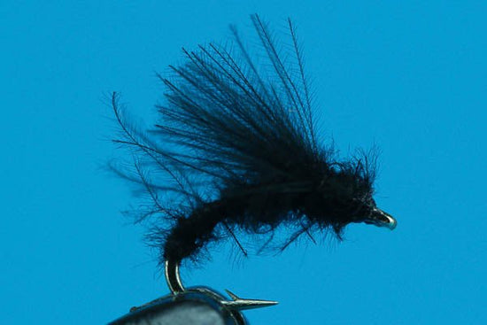 Little Black Caddis - Hazy Fly Fishing