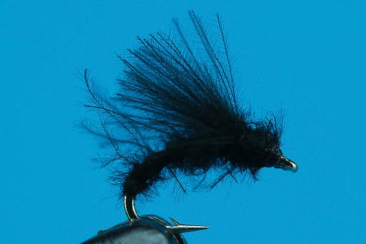 Little Black Caddis - Hazy Fly Fishing