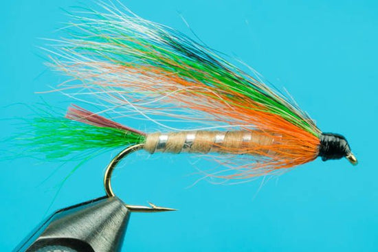 Little Brook Trout - Hazy Fly Fishing