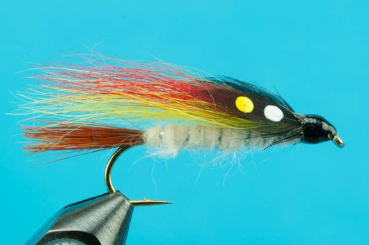 Little Brown Trout - Hazy Fly Fishing