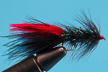Little Fort Leech - Hazy Fly Fishing