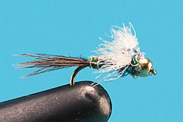 Little Green Machine - Tungsten - Hazy Fly Fishing