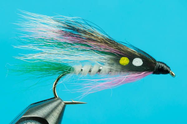 Little Rainbow Trout - Hazy Fly Fishing