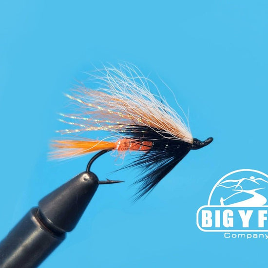 Mack's Canyon - Hazy Fly Fishing