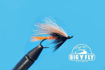 Mack's Canyon - Hazy Fly Fishing