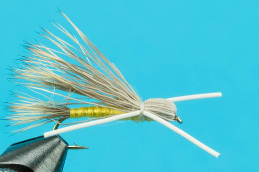 Madam X - Hazy Fly Fishing