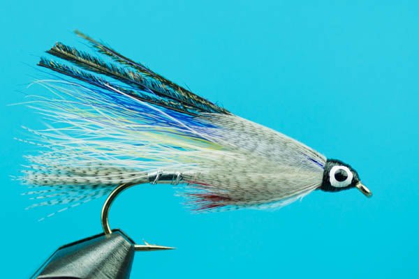 Magog Smelt - Hazy Fly Fishing