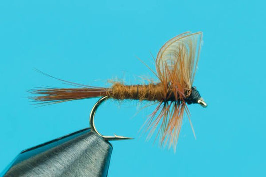 Mahogany Dun - Hazy Fly Fishing