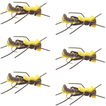 Mantis BLT Foam Body Grasshopper Fly - 6 Flies Hook Size 10 - Hazy Fly Fishing