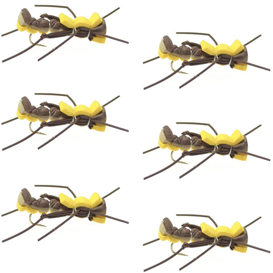 Mantis BLT Foam Body Grasshopper Fly - 6 Flies Hook Size 10 - Hazy Fly Fishing
