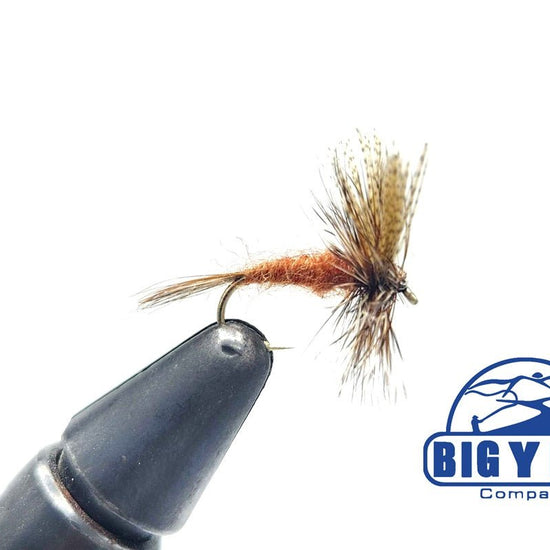 March Brown - Hazy Fly Fishing