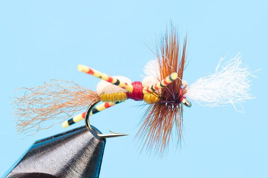 Mean Old Lady - Hazy Fly Fishing