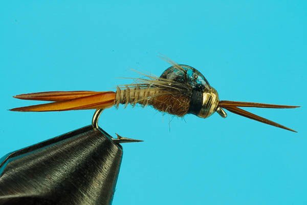 Micro Stone Fly - Beadhead - Hazy Fly Fishing