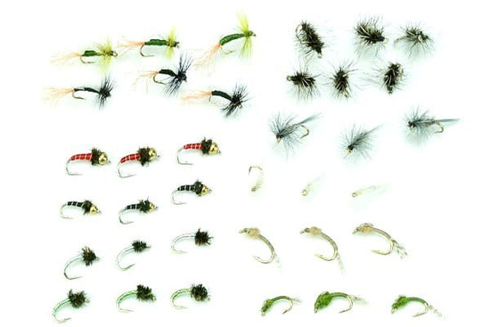 Midge Life Cycle Assortment 36 - Hazy Fly Fishing
